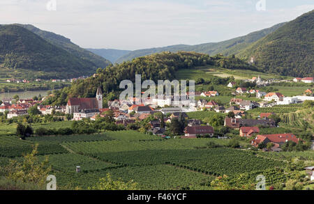 Blick über Weinberge, Spitz an der Donau, Tausendeimerberg, Wachau, Waldviertel, Niederösterreich, Österreich Stockfoto