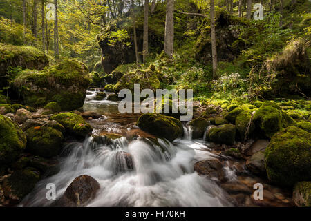 Bergbach im Hartelsgraben, Nationalpark Gesäuse, Steiermark, Österreich Stockfoto