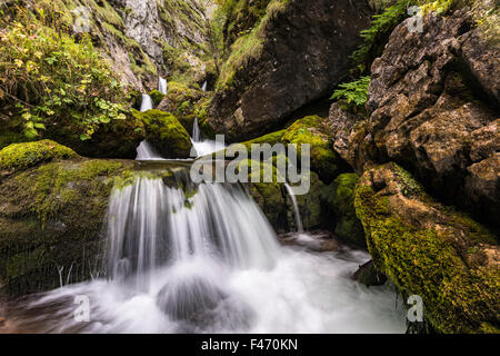 Bergbach im Hartelsgraben, Nationalpark Gesäuse, Steiermark, Österreich Stockfoto