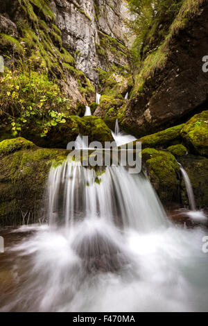 Bergbach im Hartelsgraben, Nationalpark Gesäuse, Steiermark, Österreich Stockfoto