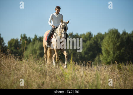 Attraktiver Mann auf dem Rücken der Pferde Stockfoto