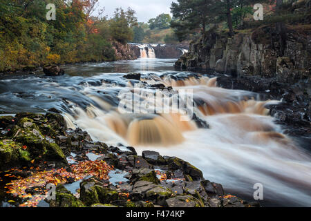 River Tees, geringe Kraft, Bowlees, obere Teesdale, Grafschaft Durham.  Donnerstag, 15. Oktober 2015, UK Wetter.  Es war kühl und neblig Start in den Tag in der Grafschaft Durham.  Die Prognose ist aber für einen vor allem trockenen Tag mit der Möglichkeit der ungeraden Dusche am Nachmittag und Abend. Bildnachweis: David Forster/Alamy Live-Nachrichten Stockfoto