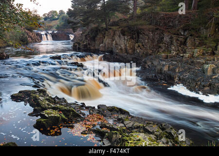 River Tees, geringe Kraft, Bowlees, obere Teesdale, Grafschaft Durham.  Donnerstag, 15. Oktober 2015, UK Wetter.  Es war kühl und neblig Start in den Tag in der Grafschaft Durham.  Die Prognose ist aber für einen vor allem trockenen Tag mit der Möglichkeit der ungeraden Dusche am Nachmittag und Abend. Bildnachweis: David Forster/Alamy Live-Nachrichten Stockfoto