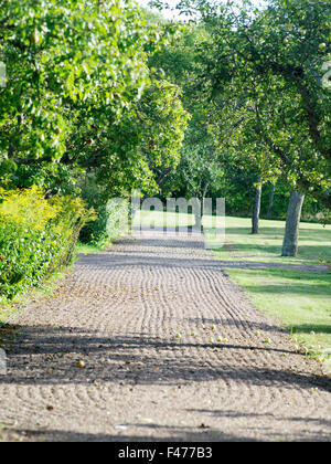 Ein Kiesweg in einem Park. Stockfoto