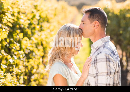 Mann küsst seine Frau auf Stirn mit Augen geschlossen neben Weinrebe Stockfoto