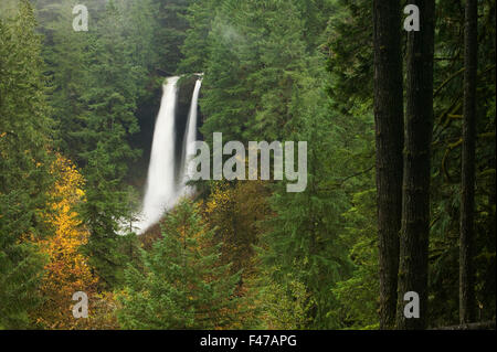 Wasserfall Norden fällt, Silver Falls State Park, Oregon, USA. Stockfoto