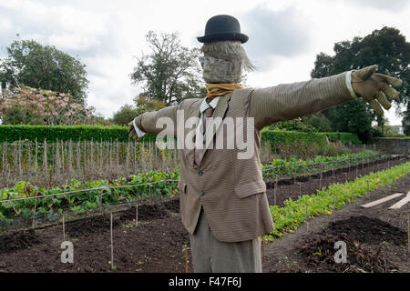 Diggory die Bewohner Vogelscheuche im Gemüsegarten am Verlorenen Gärten von Heligan, Cornwall, Großbritannien Stockfoto