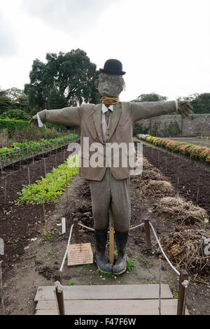 Diggory die Bewohner Vogelscheuche im Gemüsegarten am Verlorenen Gärten von Heligan, Cornwall, Großbritannien Stockfoto