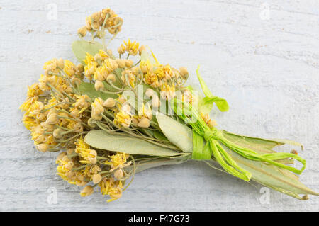 Frische Linden Strauß auf weißer Holztisch Stockfoto