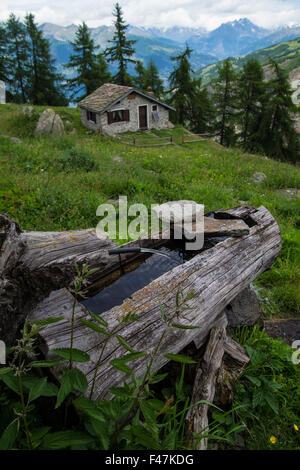 Chantelle, Parc du grand Paradis, Val d'aoste, Italien Stockfoto