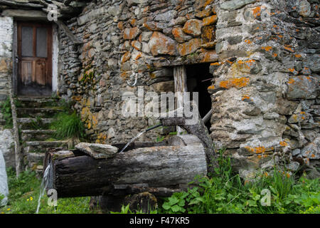 Chantelle, Parc du grand Paradis, Val d'aoste, Italien Stockfoto