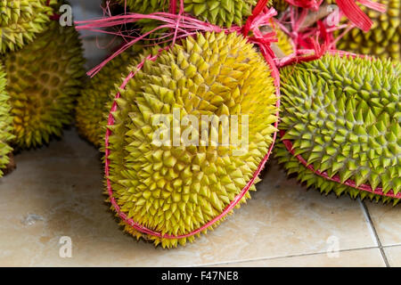 Bild von der Durian-Frucht in Südost-Asien Stockfoto