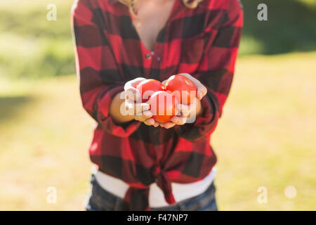 Frau hält einige Tomaten Stockfoto