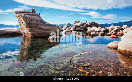 Bonsai Stein in Lake tahoe Stockfoto