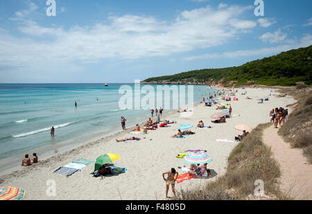 Touristen-Sonnenbaden und Schwimmen im schönen sandigen Strand Binigaus auf der Insel Menorca Spanien Stockfoto