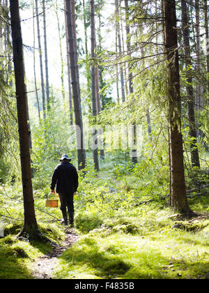 Ein Mann geht Pilze sammeln, Schweden. Stockfoto