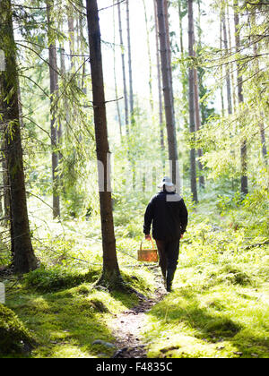 Ein Mann geht Pilze sammeln, Schweden. Stockfoto