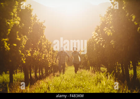 Paar zu Fuß und halten die Hände zwischen Weinrebe Stockfoto