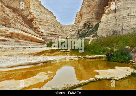 Ein Avdat in der Negev-Wüste Stockfoto