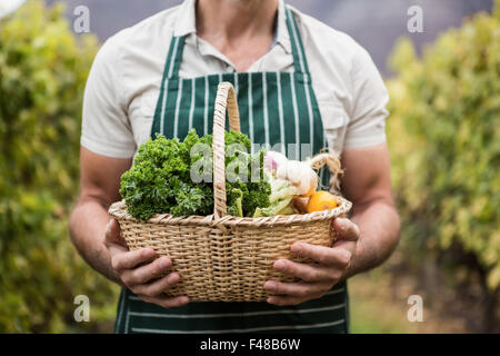 Landwirt Hände halten einen Korb mit Gemüse Stockfoto