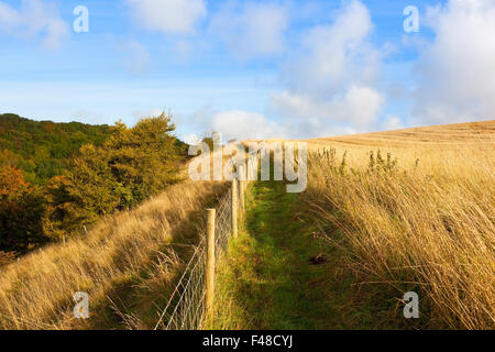 Eine Herbst-Landschaft mit einem Widerhaken Drahtzaun über einen Fußweg mit trockenen Gräsern und bunten Bäumen an einem hellen Oktobertag. Stockfoto