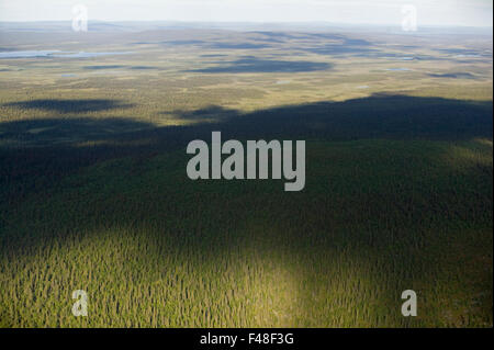 Blick über einen großen Wald, Lappland, Schweden. Stockfoto
