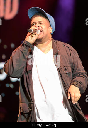 Trugoy von De La Soul erklingt in 2015 Womad Charlton Park, Malmesbury, England, UK. 24. Juli 2015 Stockfoto