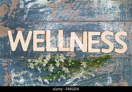 Wellness mit Holzbuchstaben, frische Kamillenblüten auf rustikale Oberfläche geschrieben Stockfoto