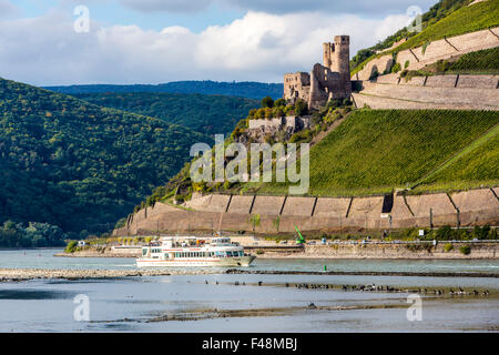 Oberen mittleren Rheintal, Weinbergen in steilen Hügeln entlang Rhein, in der Nähe von Rüdesheim, Deutschland, Burg Ehrenfels, Stockfoto