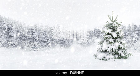Outdoor-Panorama-Aufnahme einer jungen Tanne im dicken Schnee, für die perfekte Weihnachtsstimmung Stockfoto