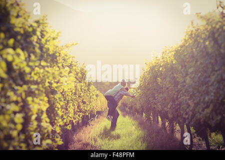 Mann mit seiner Frau eine Huckepack zwischen Weinreben Stockfoto