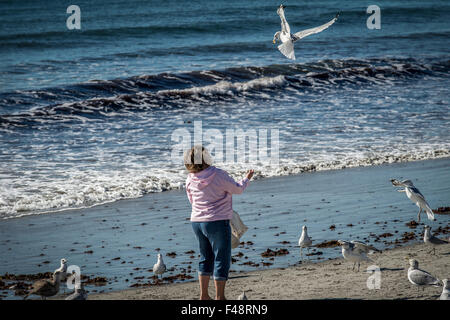 Genau wie die Dame in Mary Poppins, als die alte Dame die Vögel füttern, aber diese Frau ernährt die Vögel am Meer am Strand. Stockfoto