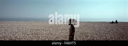 AJAXNETPHOTO. WORTHING, ENGLAND. -STRAND SZENE PANORAMA - BLICK NACH SÜDEN ZUM MEER ÜBER DEN KANAL. FOTO: JONATHAN EASTLAND/AJAX REF: 1020 Stockfoto