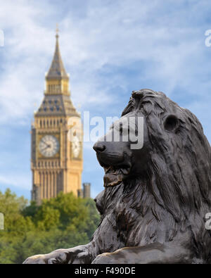 Trafalgar Square-Löwe mit Big Ben im Hintergrund, London, England, UK. Stockfoto