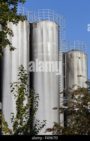 Riesige Silos mit Leitern vor blauem Himmel Stockfoto