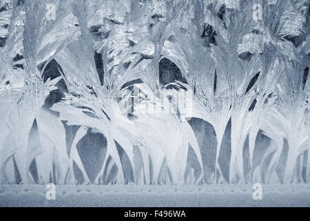 Frost in einem Fenster Stockfoto