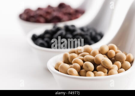 Tricolor Sojabohnen Stockfoto