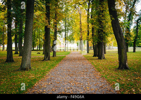 Anfang Herbst Farbe gesehen im Kadrioru Park in Tallinn, Estland. Stockfoto