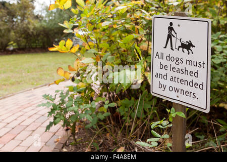 Hunde an der Leine zu unterzeichnen, im öffentlichen Park - USA Stockfoto