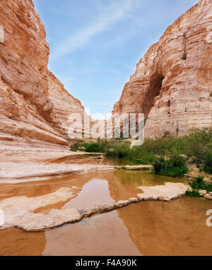 Der Canyon Ein Avdat in der Negev-Wüste Stockfoto