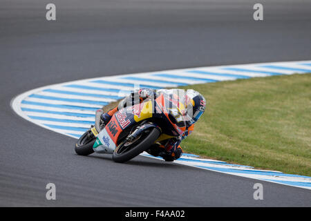 Phillip Island, Australien. 16. Oktober 2015. Moto3, freies Training Nummer 1. Red Bull KTM Ajo Teamfahrer Brad Binder durchläuft der Sibirien-Ecke auf Phillip Island während des ersten Trainings der Pramac Australian Motorcycle Grand Prix. Binder wurde Vierter die Sitzung am schnellsten insgesamt. Bildnachweis: Russell Hunter/Alamy Live-Nachrichten Stockfoto