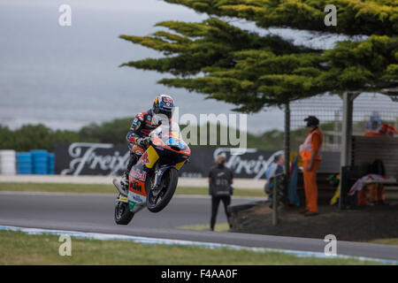 Phillip Island, Australien. 16. Oktober 2015. Moto3, freies Training Nummer 1. Red Bull KTM Ajo Moto3 Fahrer feiert das Ende im ersten Training der Pramac Australian Motorcycle Grand Prix. Oliveira beendete die Session am schnellsten insgesamt mit einer Zeit von 1' 37,209 secs. Bildnachweis: Russell Hunter/Alamy Live-Nachrichten Stockfoto