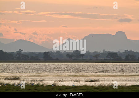 Sonnenuntergang Landschaft in Arugam Bay Lagune, Sri Lanka Stockfoto