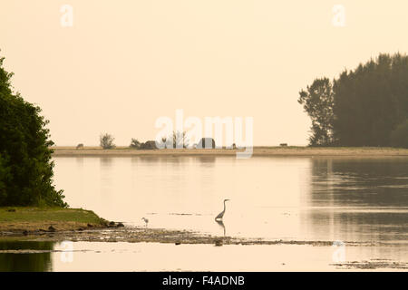 Sonnenuntergang sportliche in Kallady Mündung, Batticaloa, Sri Lanka Stockfoto