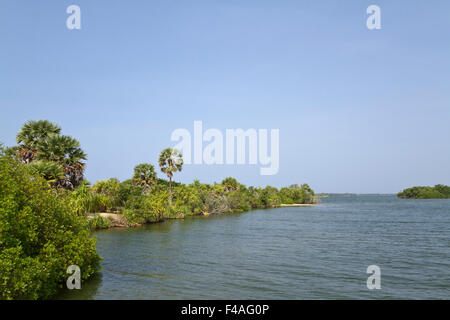 Kallady Mündung Landschaft, Batticaloa, Sri Lanka Stockfoto