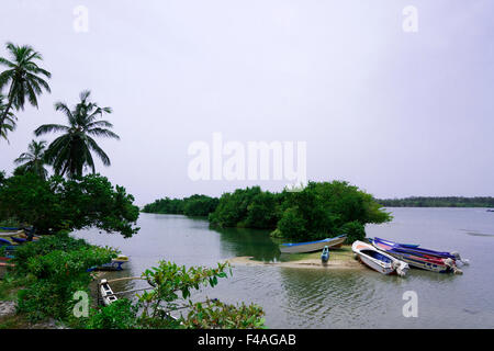 Kallady Mündung Landschaft, Batticaloa, Sri Lanka Stockfoto