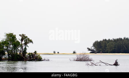 Kallady Mündung Landschaft, Sri Lanka Stockfoto