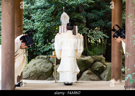 Nishinomiya Schrein, Japan, Shinto Priester, Kannushi, mit obersten Priester darbringen zu vier anderen Priestern. Alle tragen Kammuri, schwarze Hüte. Stockfoto