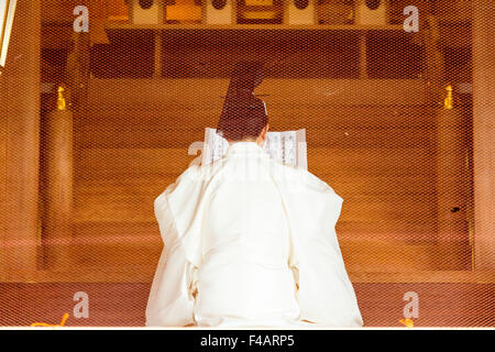 Nishinomiya Schrein, Japan. Blick durch Bildschirm eines Priesters, kannushi, tragen Kammuri Hut, Lesen von Blättern in der HONDEN, Heiligtum. Stockfoto