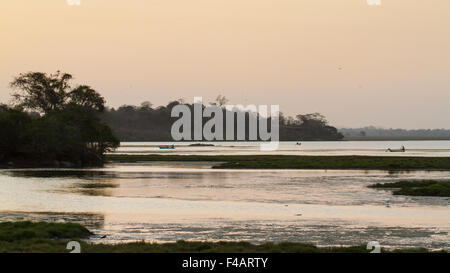 Sonnenuntergang in Kallady Mündung, Batticaloa, Sri Lanka Stockfoto